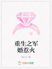 重生之军婚惹火