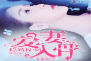 隐婚权少爱妻入骨