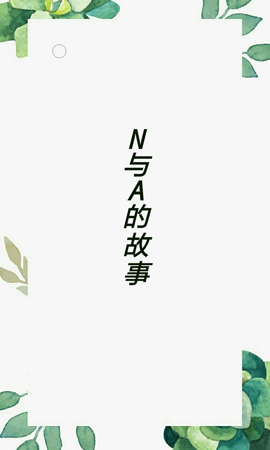 N与A的故事