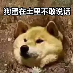 寄人篱下