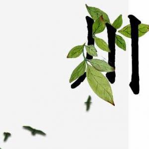 造物钟爱对称