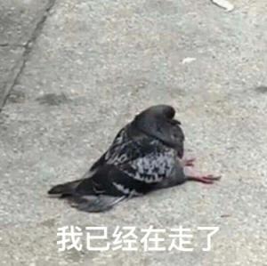 终身恋爱