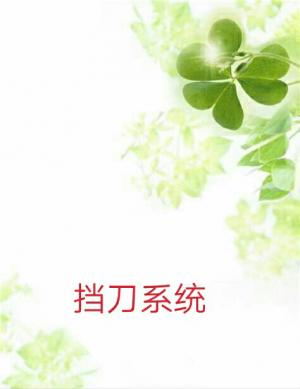 挡刀系统