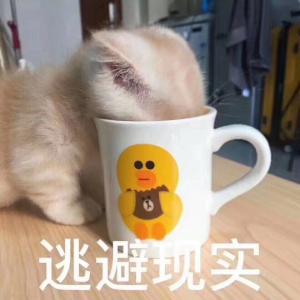 【韩娱】七又七分之七的距离