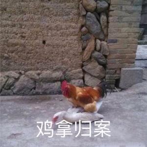 反派养子实录